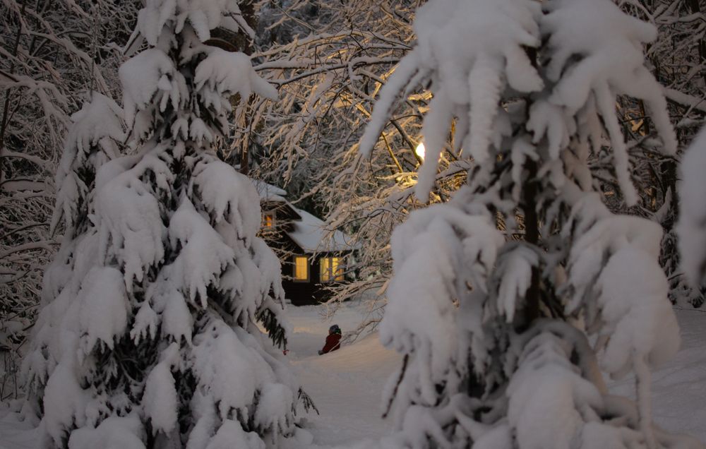 Photograph by Екатерина Карвасарская