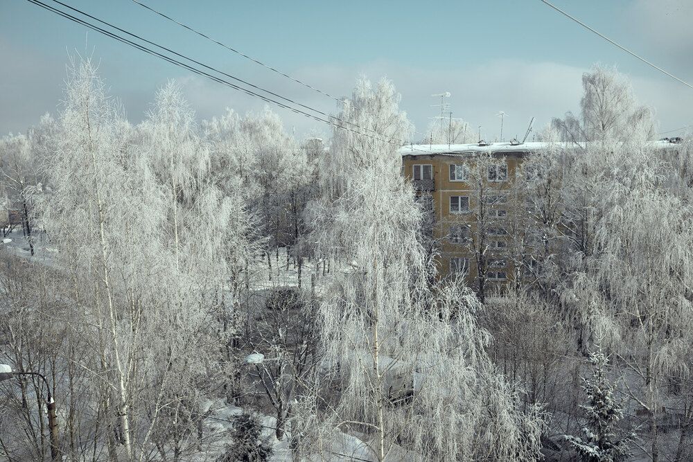 Photograph by Виталий Андросов