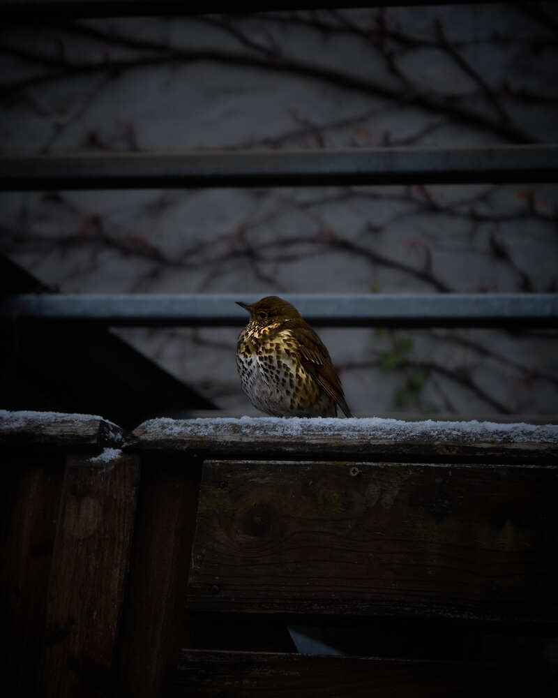 Photograph by Denys Zhytkevych