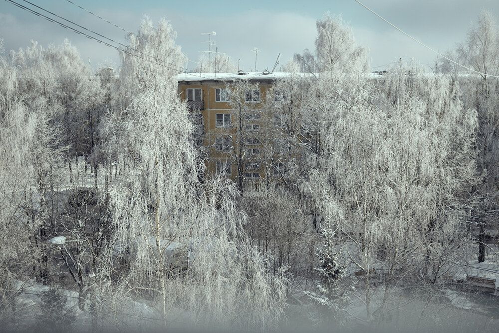 Photograph by Виталий Андросов