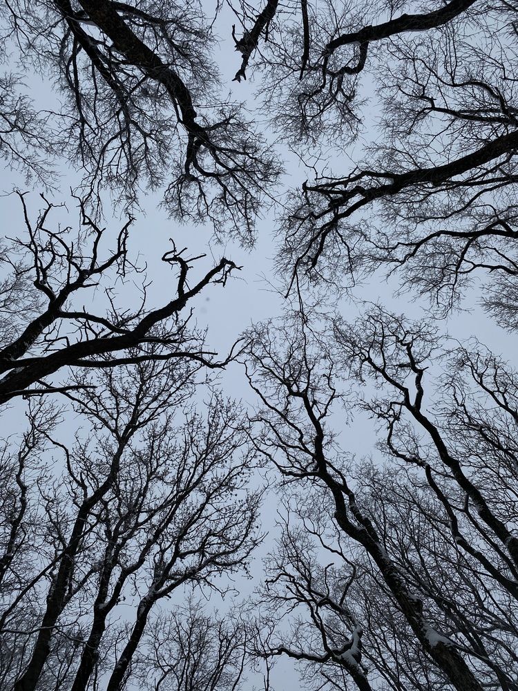 Photograph by Виктория Куликова