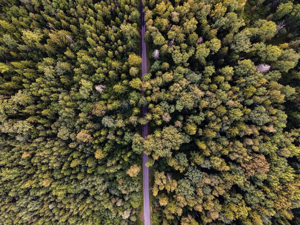 Photograph by Владислав Данилов