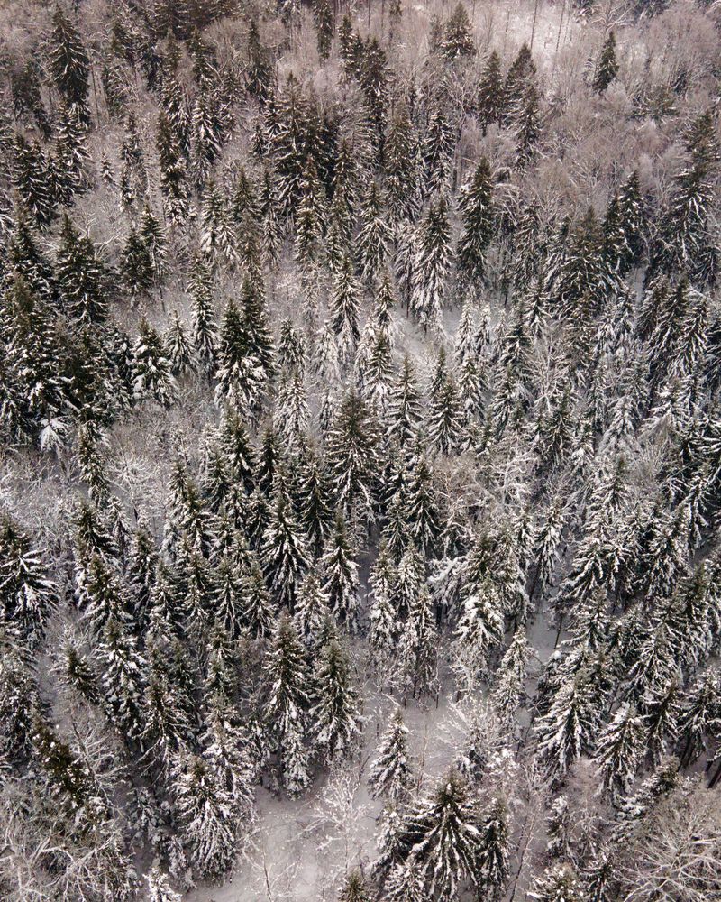 Photograph by Владислав Данилов