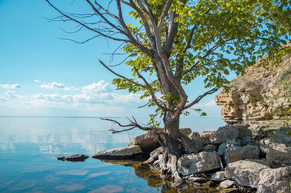 Фотография автора Татьяна Алексеевна