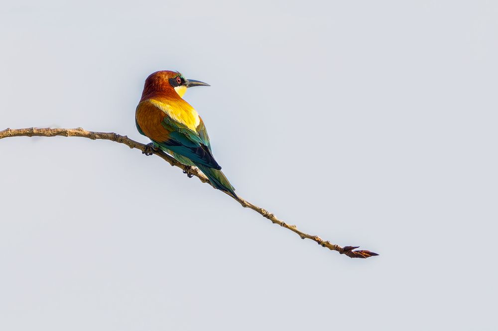 Photograph by Александр Перегудов