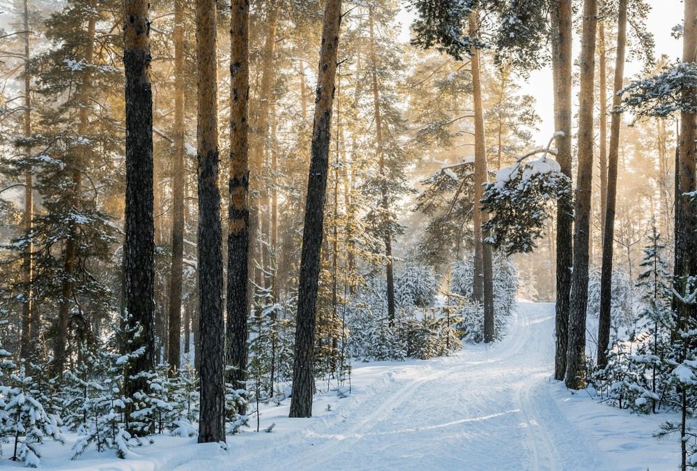 Photograph by Елена