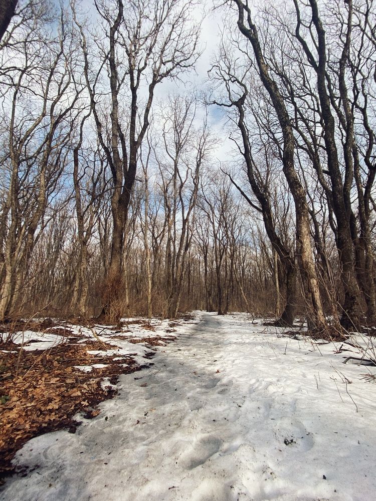 Photograph by Виктория Куликова