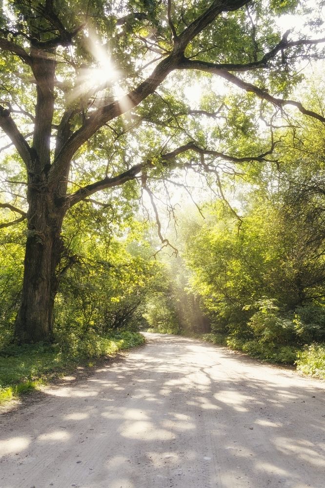 Фотография автора Алексей Полуянцевич