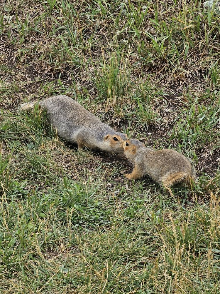 Photograph by Вадим Богатиков
