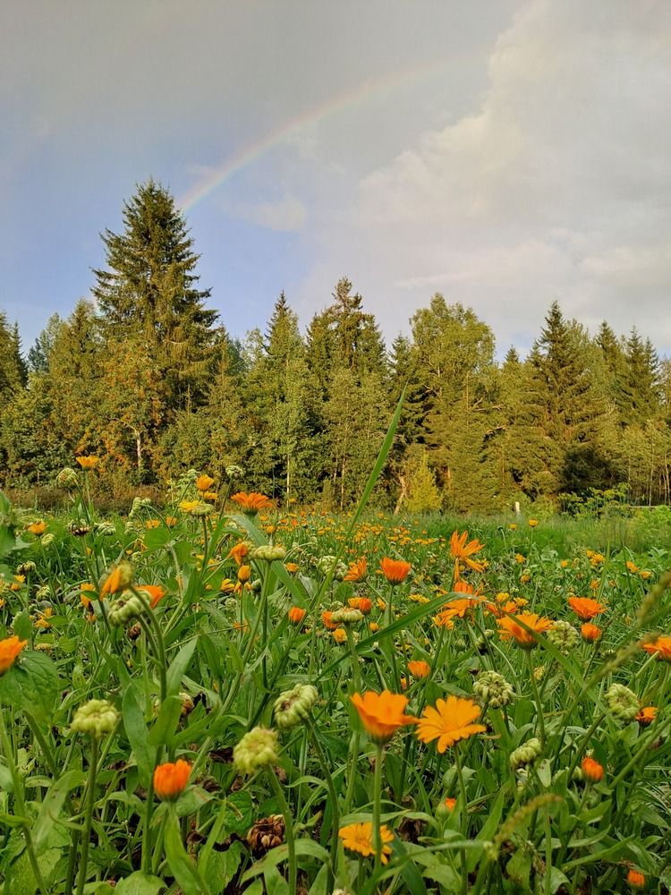 Photograph by Ирина Савельева