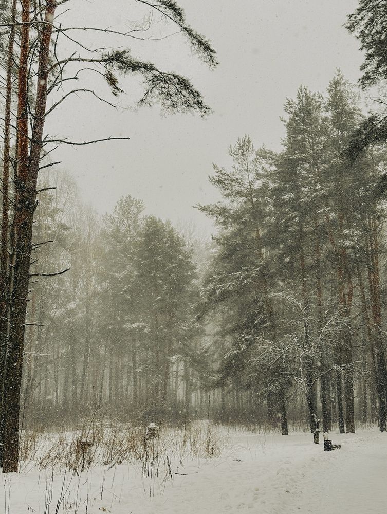 Photograph by Anastasia Astakhova