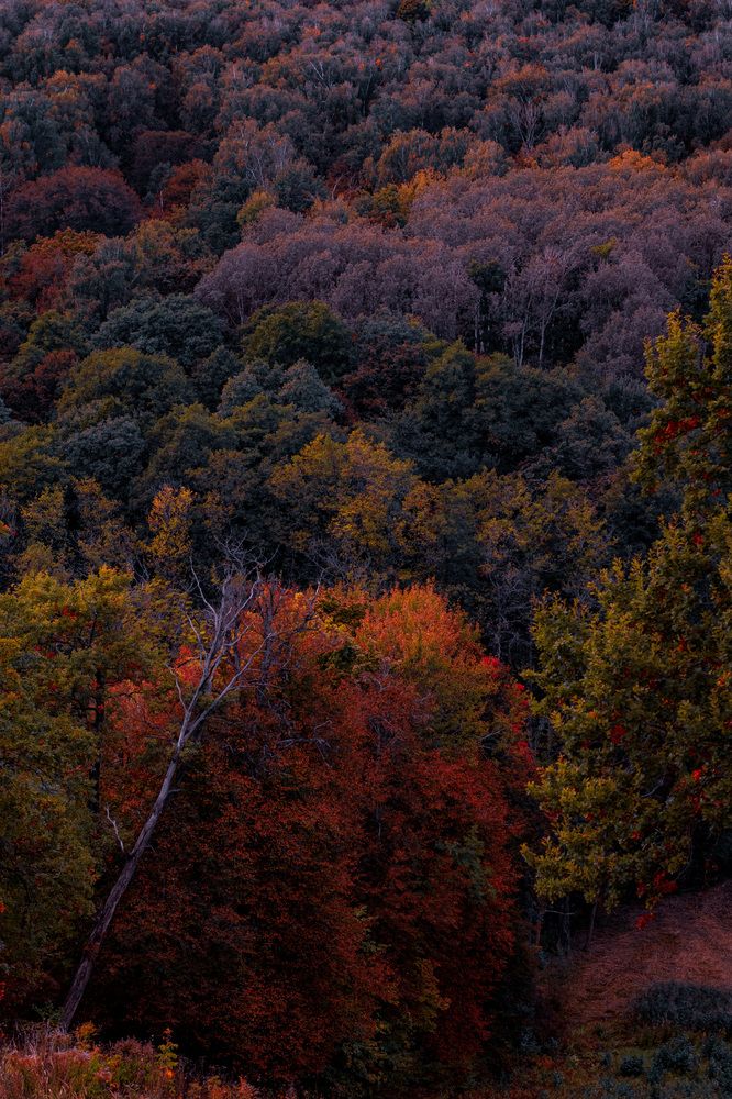 Photograph by Anastasia Astakhova