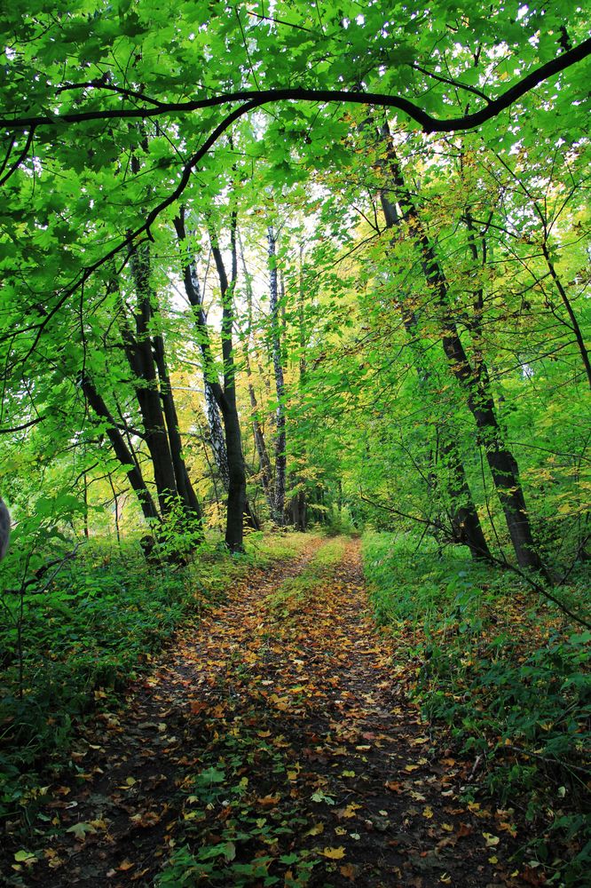 Photograph by Светлана Карнаух