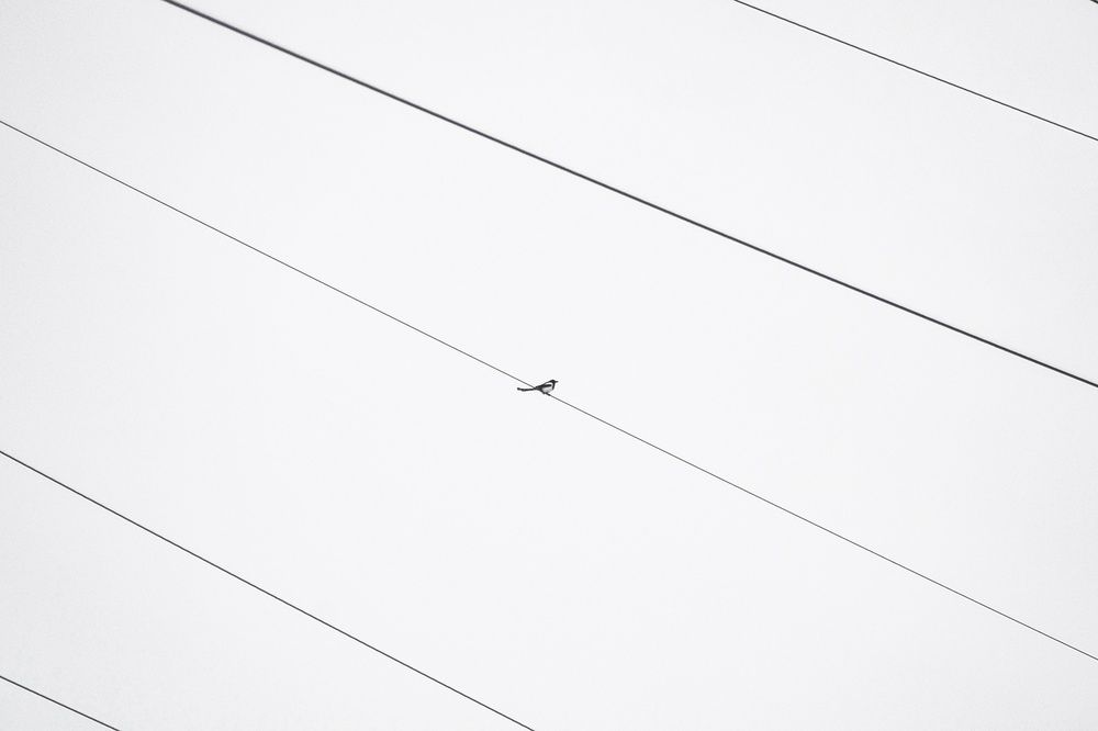 Фотография автора Александр Крапачев