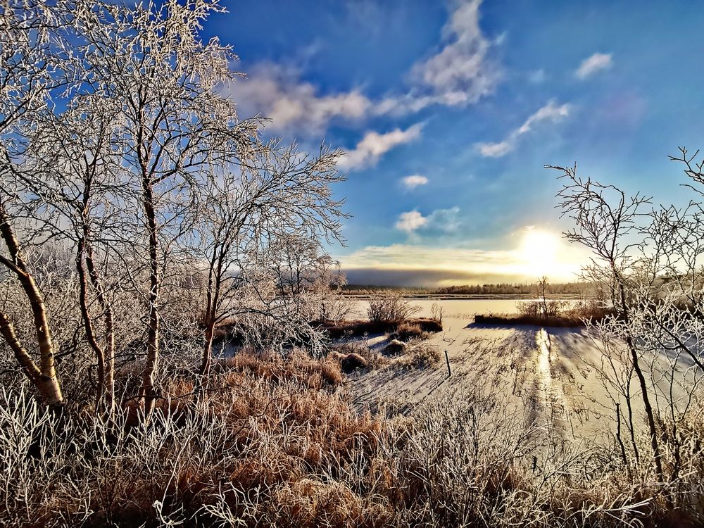 Photograph by Elena