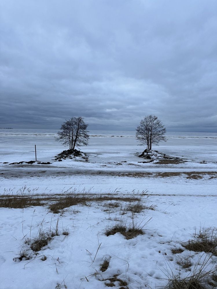 Photograph by Елена Безперстова
