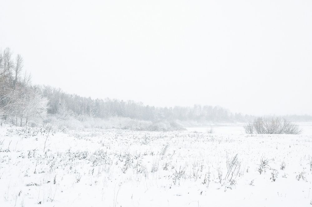 Фотография автора Александр Крапачев