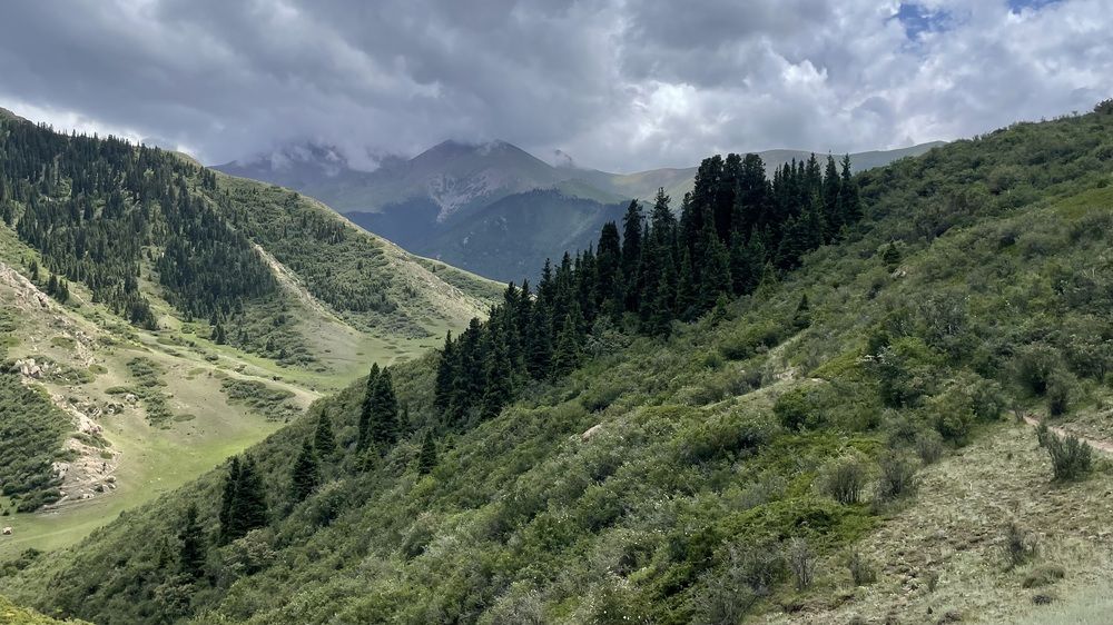 Photograph by Марина Измайлова