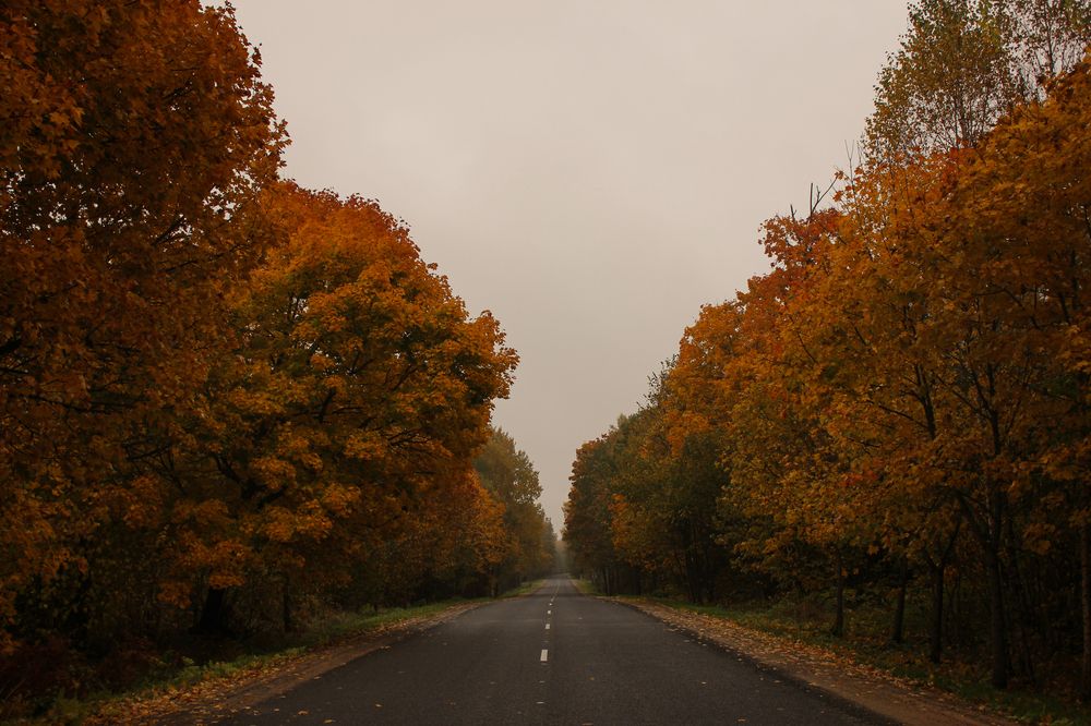 Photograph by Polina Pisar