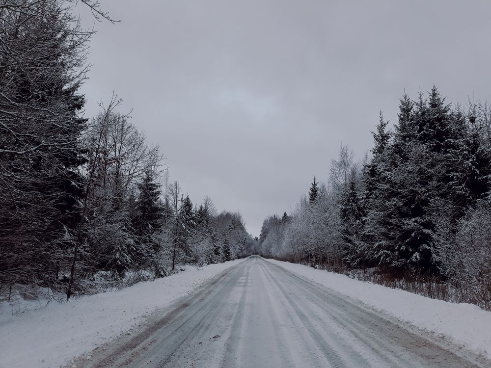 Photograph by Polina Pisar