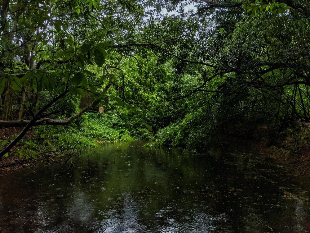 Photograph by Kawsar Ahmed Fahim