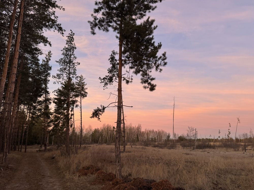 Photograph by Илья Панкратов