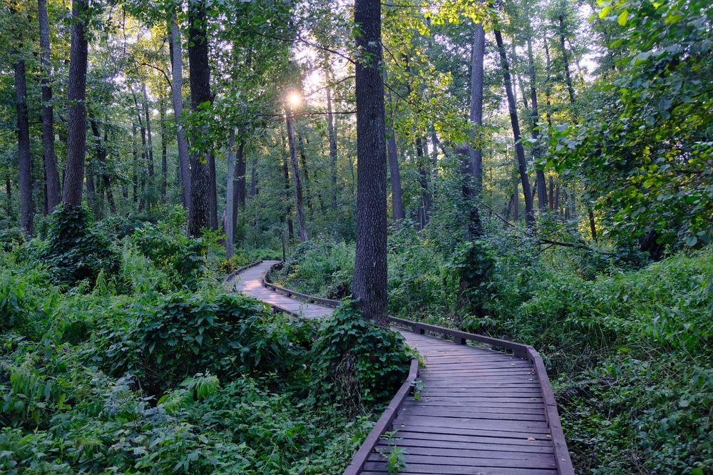 Photograph by Илья Панкратов