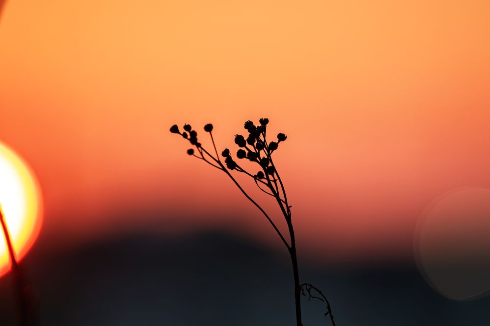 Photograph by Зубкова Юлия