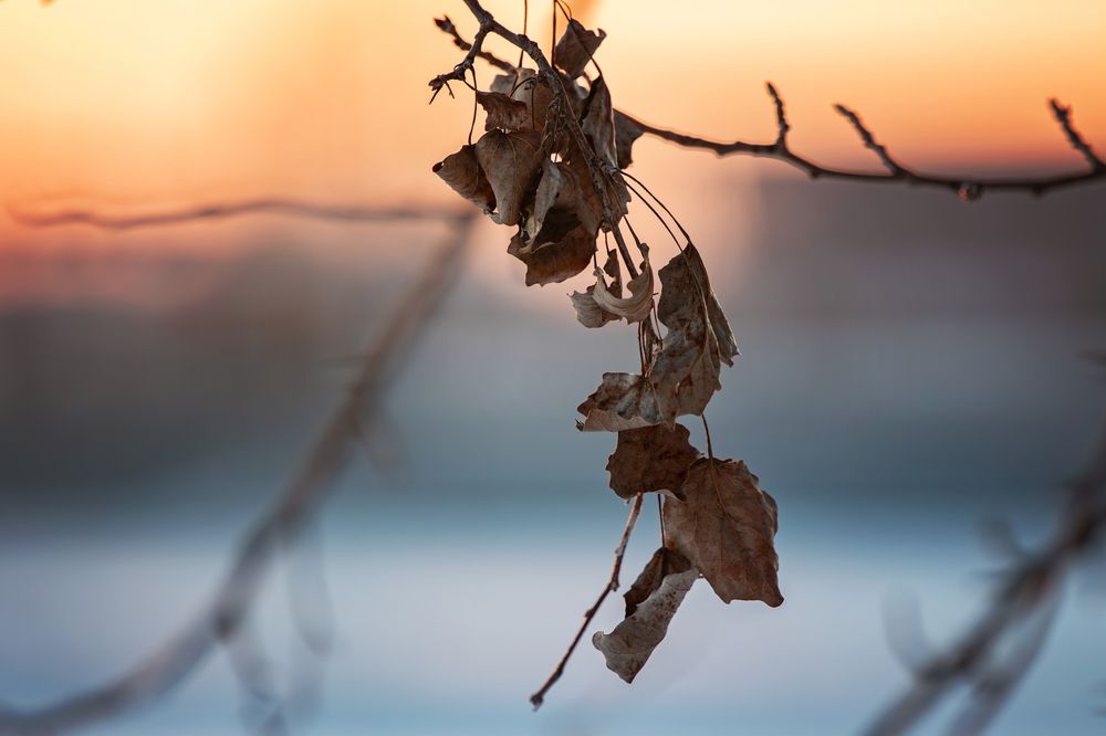 Photograph by Зубкова Юлия