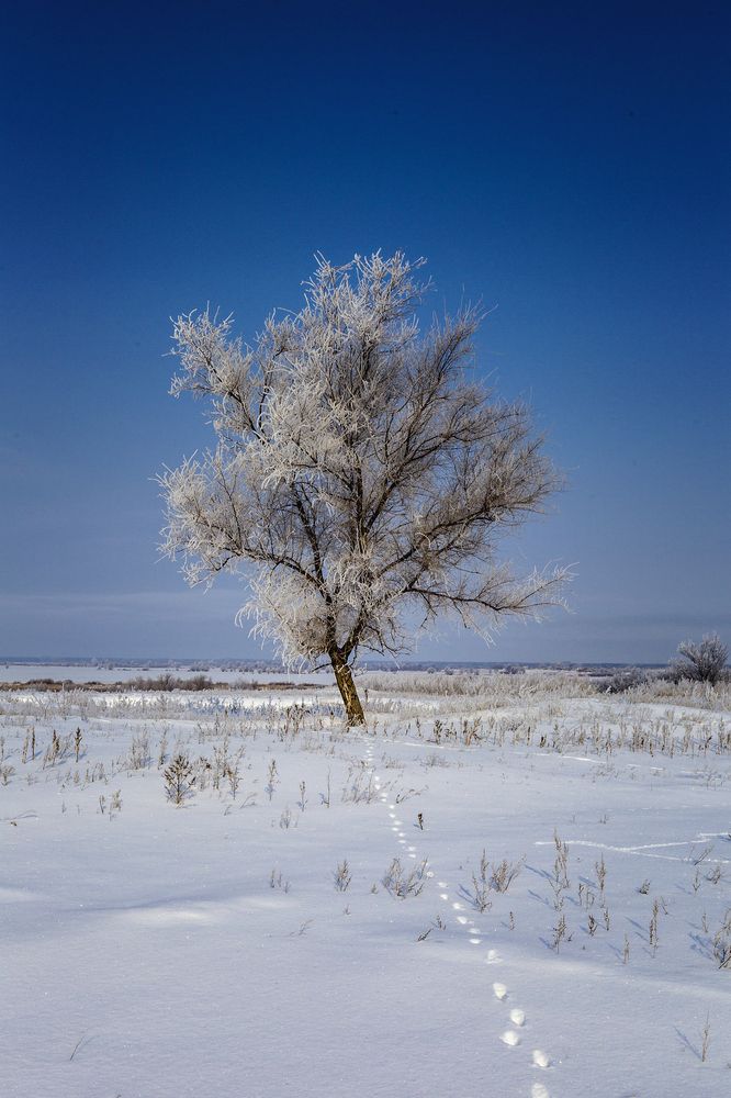 Photograph by Ожерельев Андрей