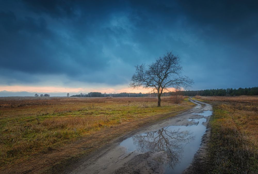 Photograph by Ожерельев Андрей