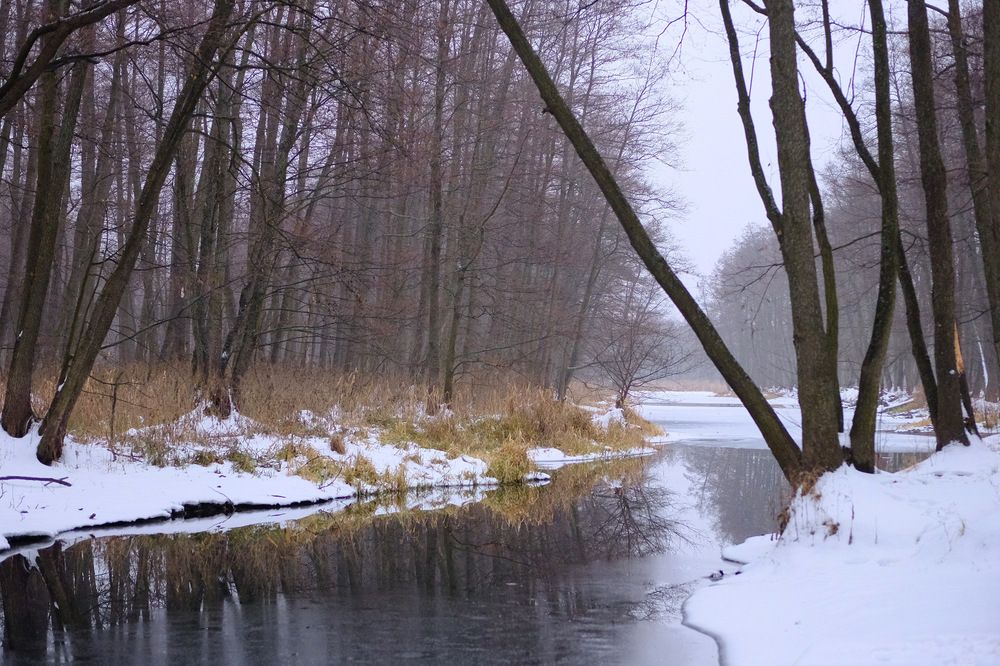 Photograph by Илья Панкратов