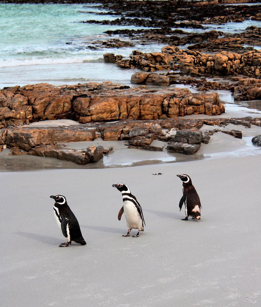 Фотография автора Hannah Leo