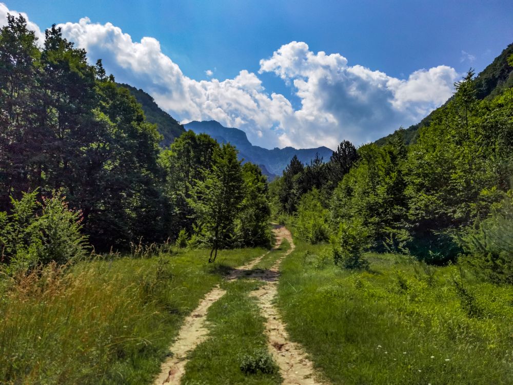 Photograph by Nikolay Draganov