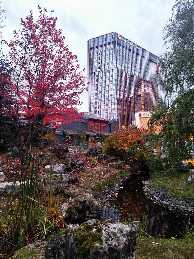Photo #11813984