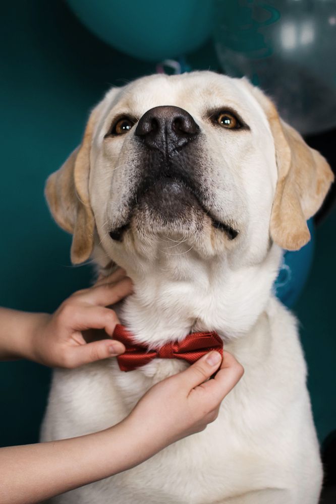 Photograph by Ирина Шарова