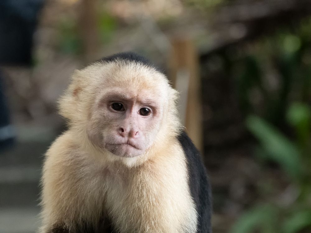 Фотография автора Stan Chance