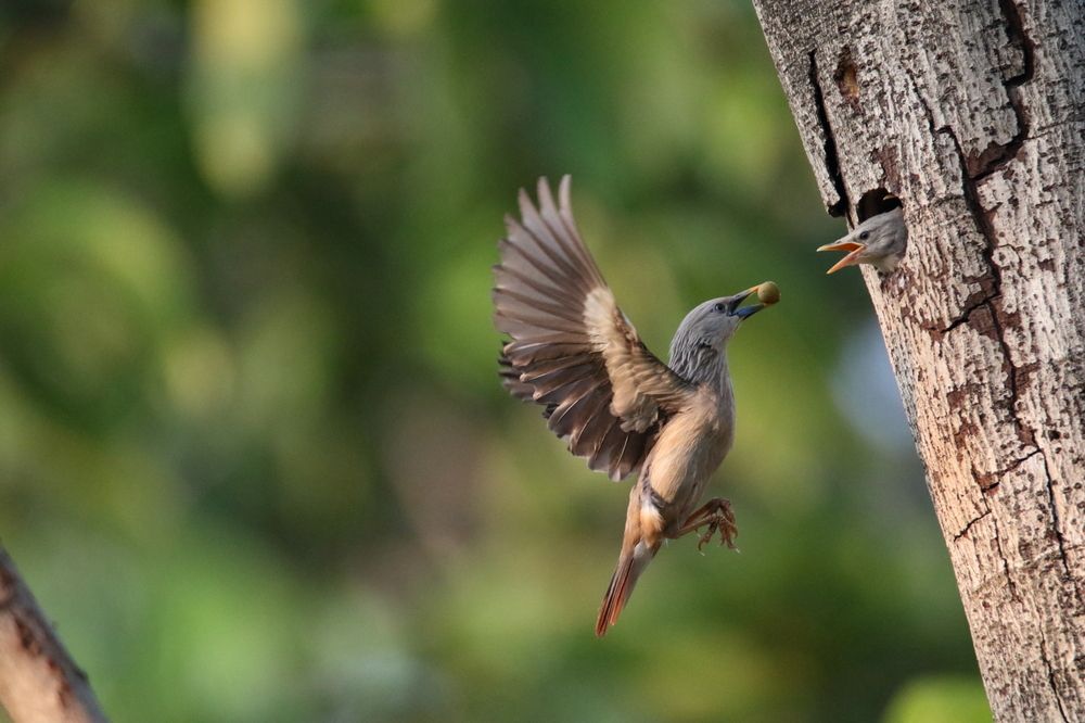 Photograph by Xuan Quyen Nguyen