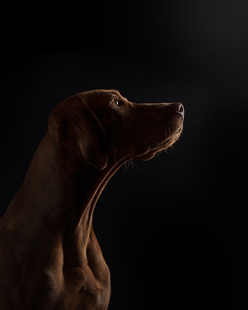 Фотография автора Jessica Carlson