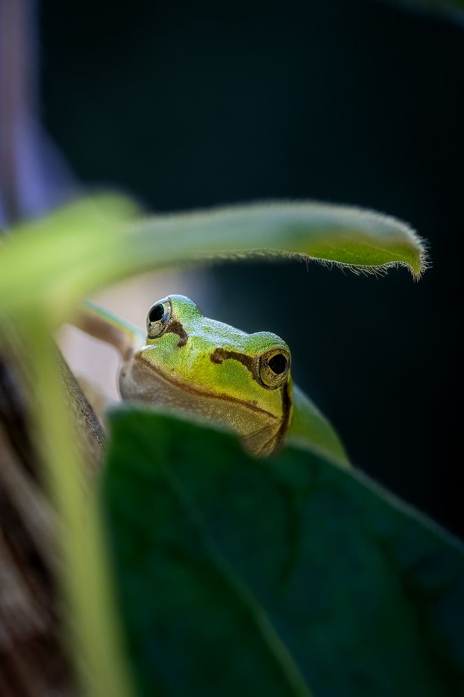 Photograph by Suzuki Ryuta