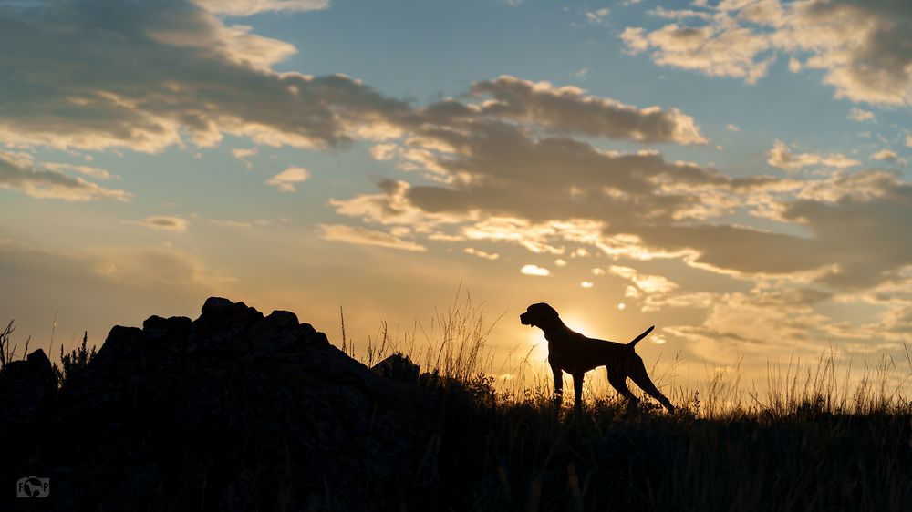 Фотография автора Jessica Carlson