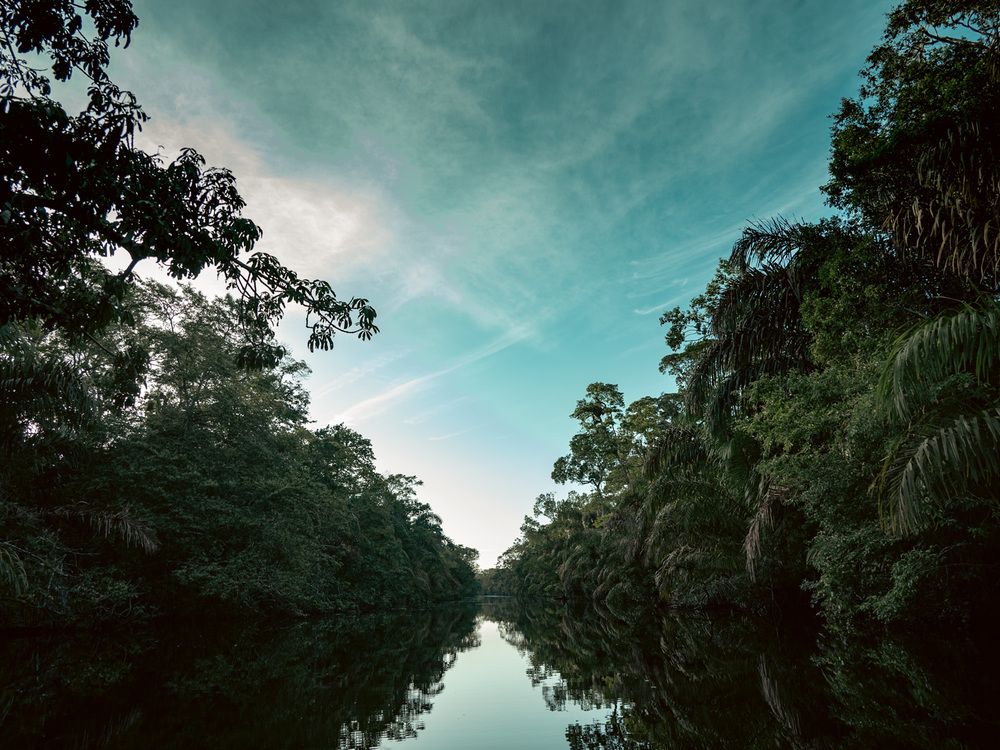 Фотография автора Stan Chance