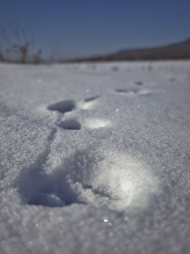 Photograph by Наталья Иванова