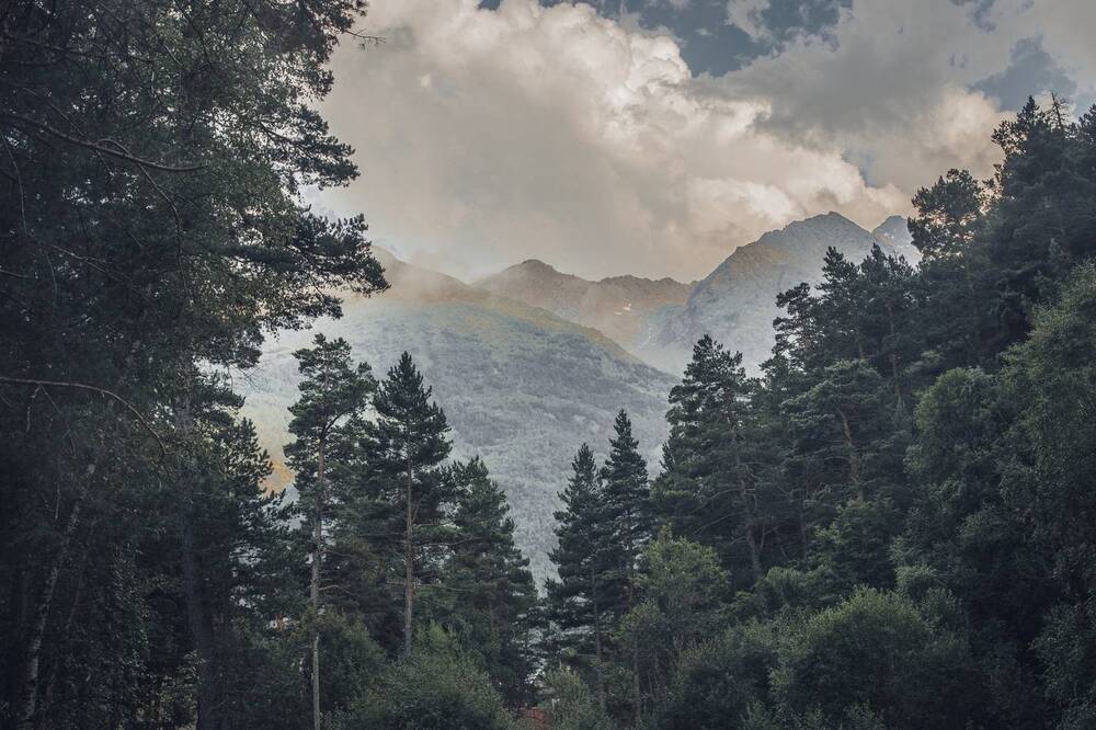 Photograph by Ольга Хентова