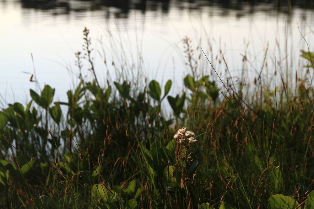 Фотография автора Анастасия Зверева