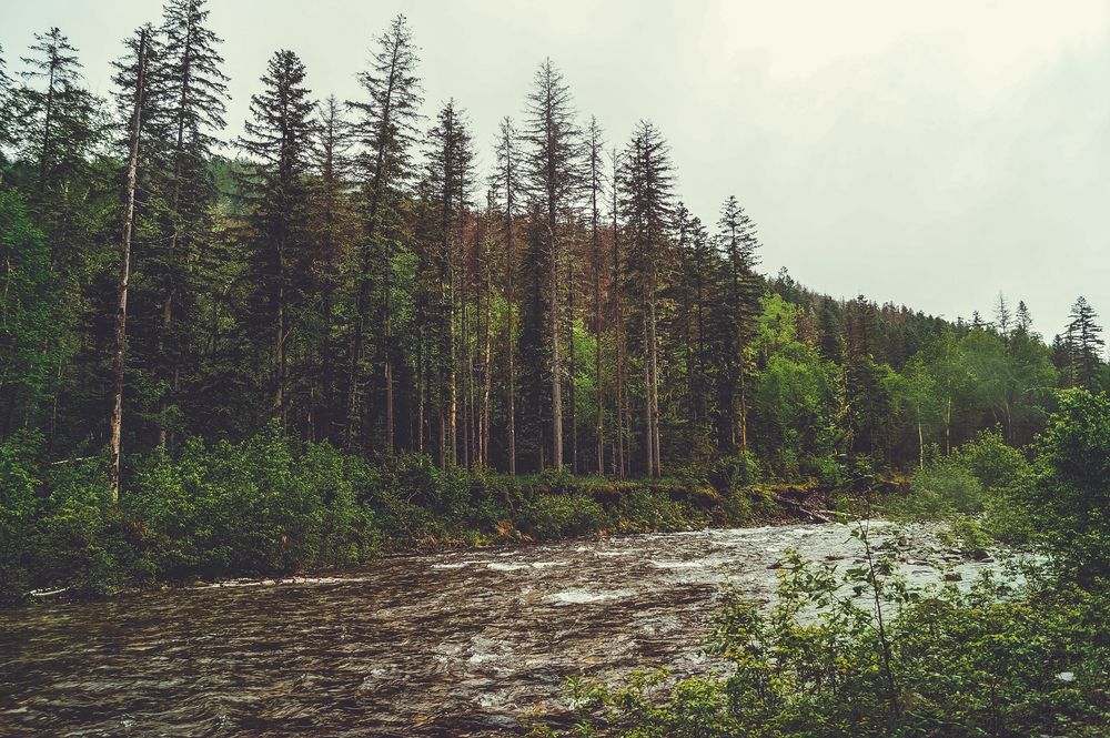 Photograph by Виктор Сёмушкин