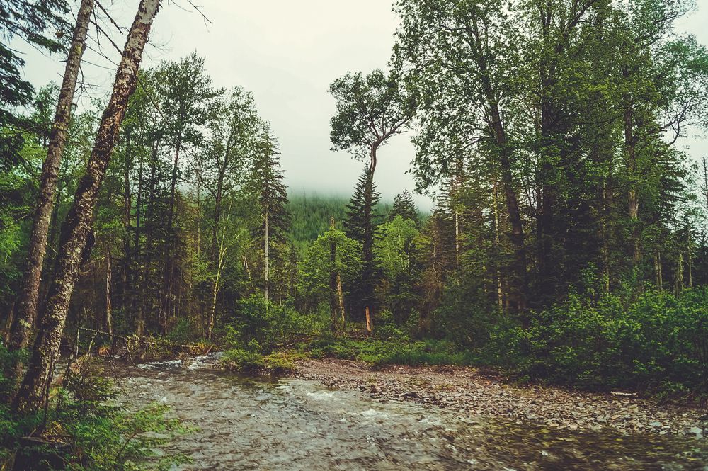 Photograph by Виктор Сёмушкин