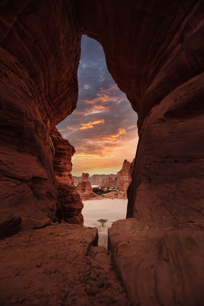 Фотография автора Talal Abodeshish