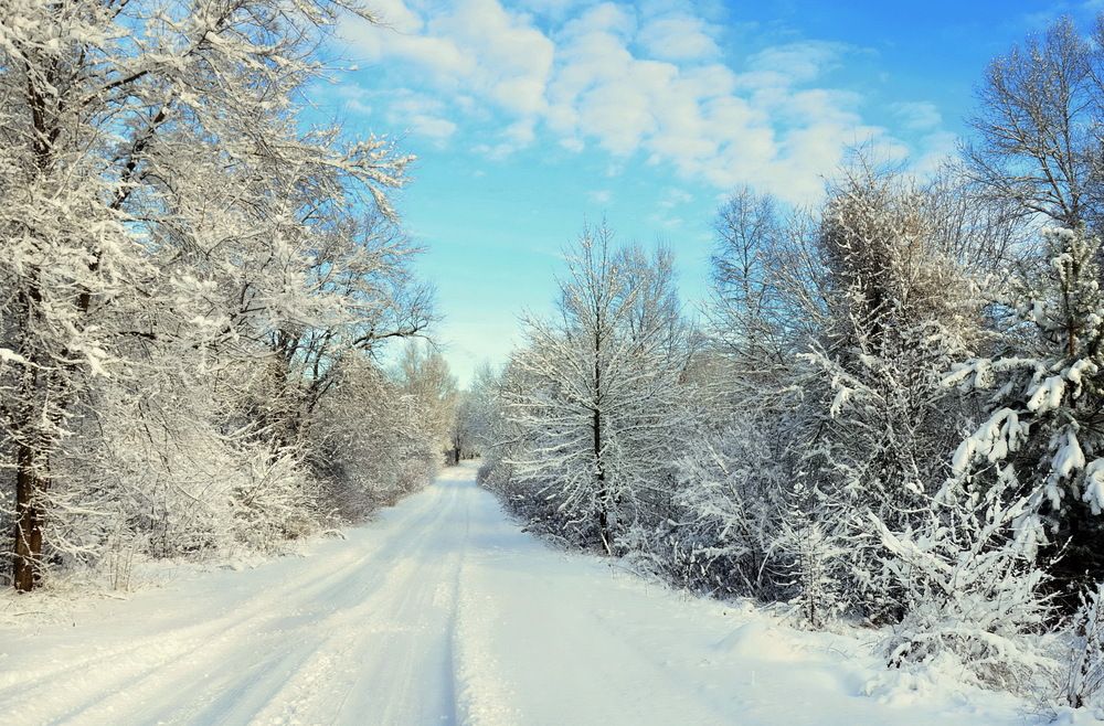 Фотография автора ВЛАДИМИР Тертышник