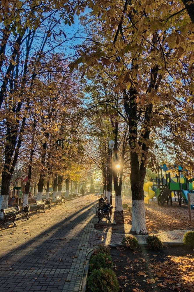 Осеннее утро